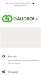 Mobile Screenshot of galigroup.com